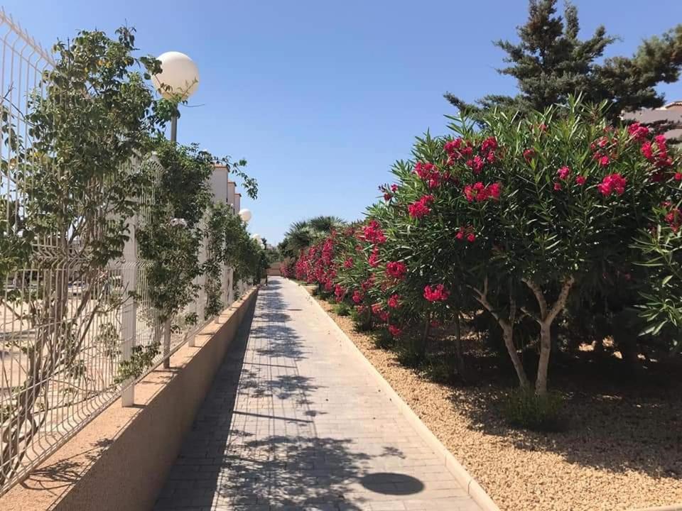 Casa Punta Prima Appartement Orihuela Buitenkant foto